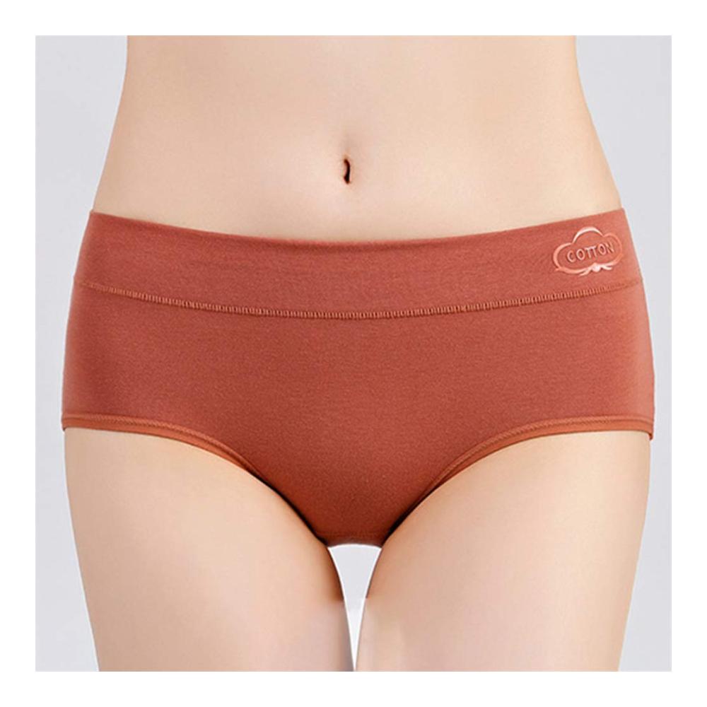 Luxuriöse Panties & Hipsters Baumwollkomfort mit Stil | Mittlere Taille elastisch & weich | Modische Damenunterwäsche für ultimativen Tragekomfort