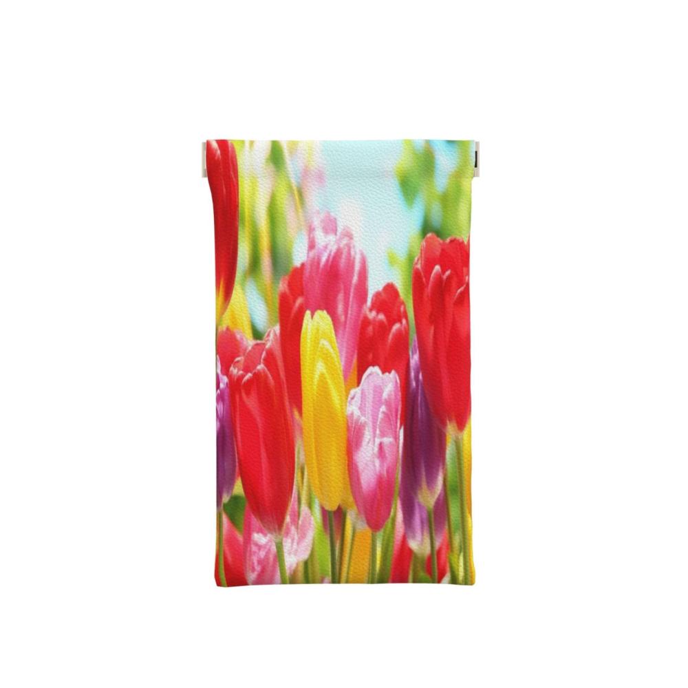 Bunte Tulpen